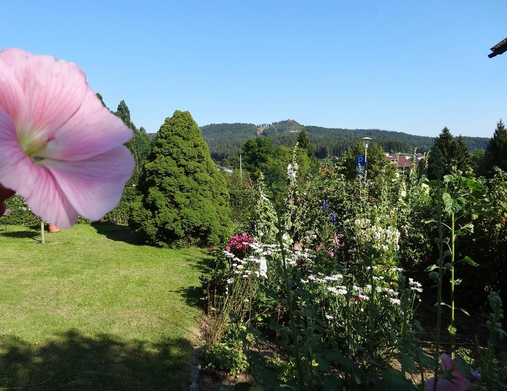 Haus Seidl Daire Bodenmais Oda fotoğraf