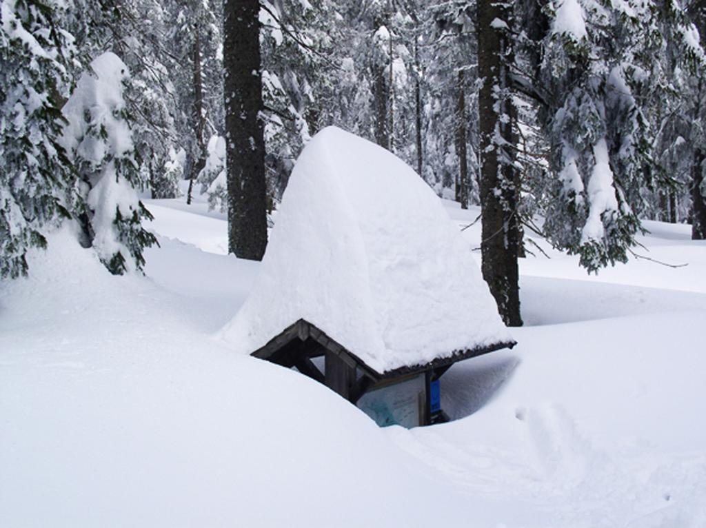 Haus Seidl Daire Bodenmais Dış mekan fotoğraf