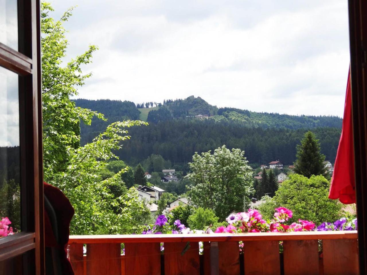 Haus Seidl Daire Bodenmais Dış mekan fotoğraf